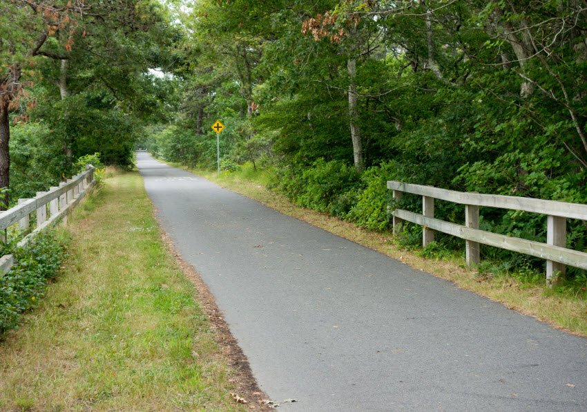 Georgetown-Rowley State Forest, Massachusetts, USA